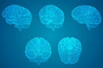 开放式公园入口平面_浅论城市公园的开放式设计