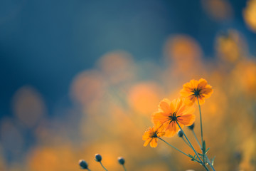 长沙哪里有好玩的剧本杀店？