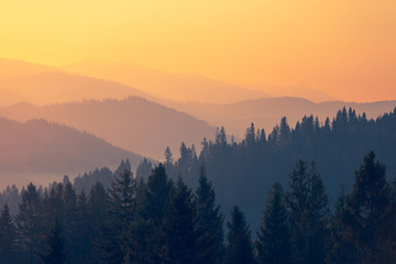 分数与除法的关系的手抄报 关于分数的手抄报