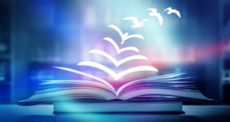 分数与除法的关系的手抄报 关于分数的手抄报