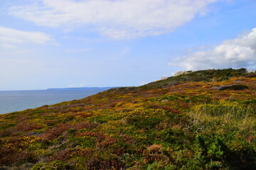 开放式公园入口平面_浅论城市公园的开放式设计