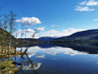 七下科学作业本a题目