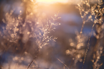 游埠早茶一条街冬季营业时间