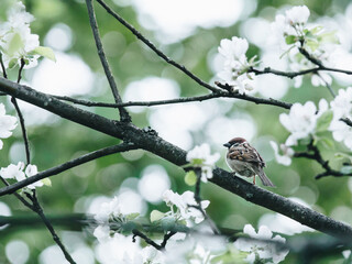 分数与除法的关系的手抄报 关于分数的手抄报