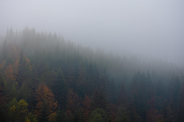 浅谈几种常见的数学思想方法