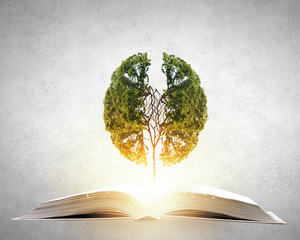 浅谈几种常见的数学思想方法