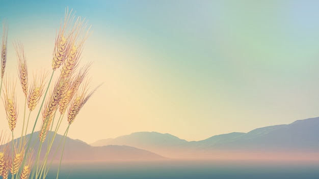 七下科学作业本a题目