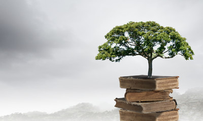 《卖火柴的小女孩》讲了一个什么故事？