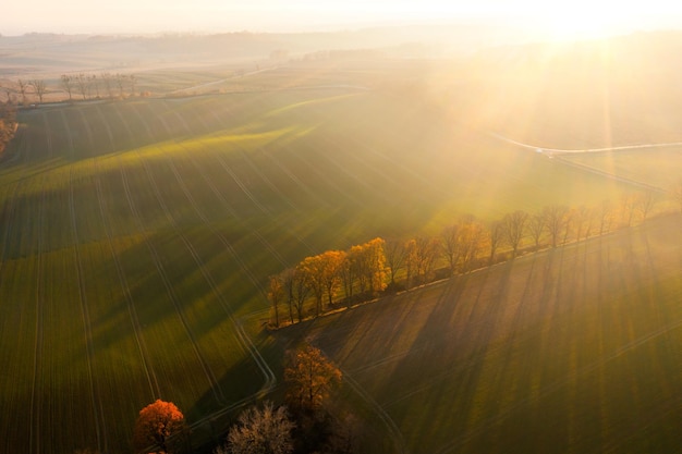 秋季中药养生汤