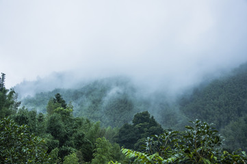 大学专业有哪些-